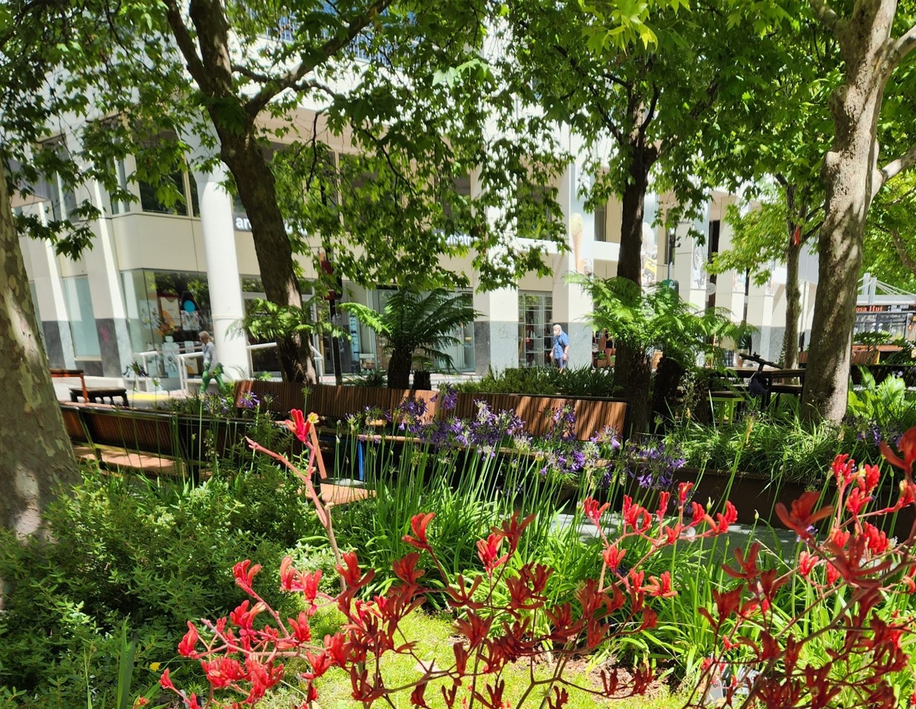 Urban plantings should always try to meet multiple objectives - in this case shade, beauty and habitat.jpg